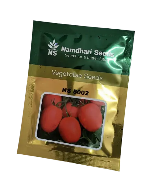 Ns 5002 (1068) Tomato Seeds 1