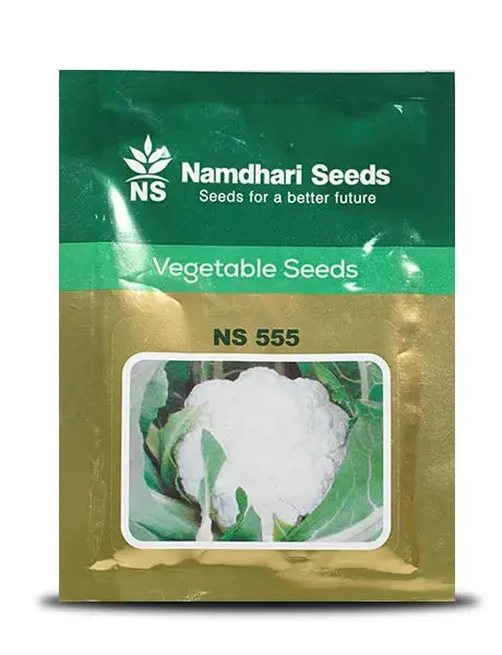 Ns 555 F1 Hybrid Cauliflower Seeds – Mid-Season, High Yield, Pure White Curds 1