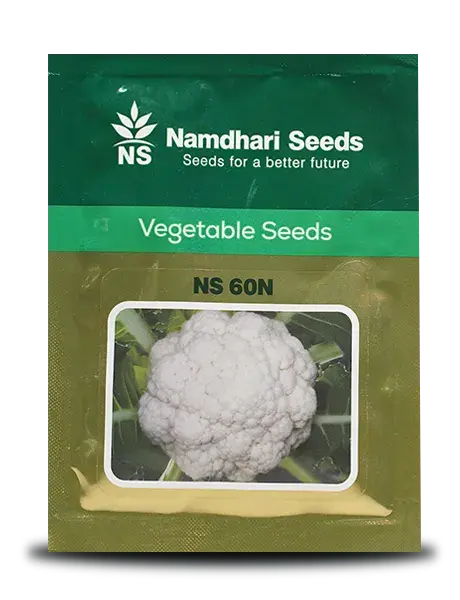 Ns 60N F1 Hybrid Cauliflower Seeds 1
