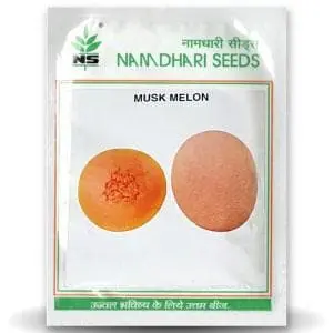 Ns 7455 F1 Muskmelon 1