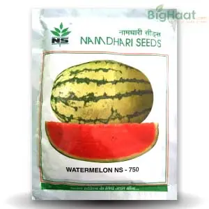 Ns 750 Watermelon 1
