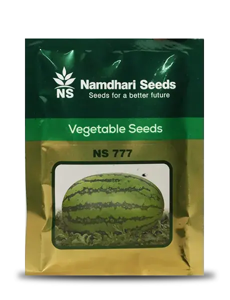 Ns 777 F1 Hybrid Watermelon Seeds 1