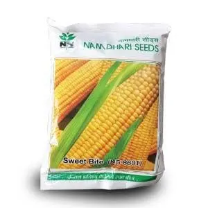 Ns 8601 Sweet Corn 1