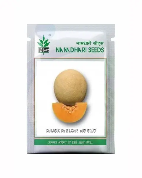 Ns 910 F1 Hybrid Muskmelon Seeds: Early, High-Yield, Sweet Fruit 1