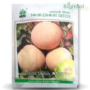 Ns 911 (Gh 11) Muskmelon 1