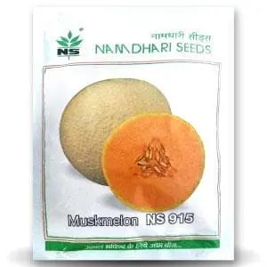 Ns 915 F1 Hybrid Muskmelon Seeds 1