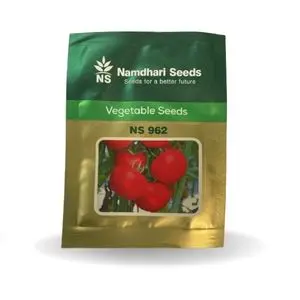 Ns 962 F1 Hybrid Tomato Seeds 1