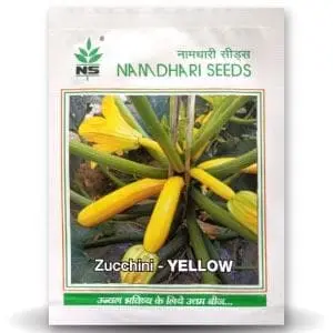 Ns 9823 F1 Hybrid Long Yellow Zucchini Seeds 1