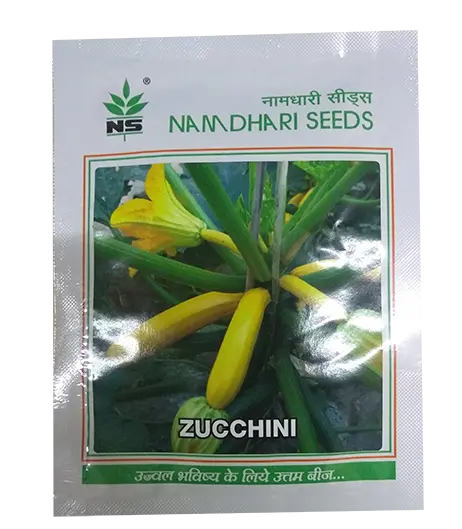 Ns 9881 F1 Hybrid Long Yellow Zucchini Seeds 1