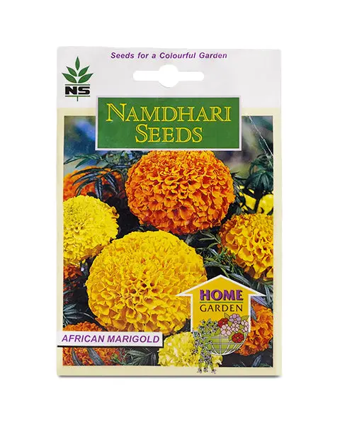 Ns African Marigold Seeds 1