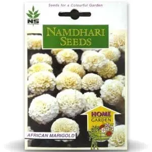 Ns F1 Hybrid Vanilla White Marigold Seeds 1