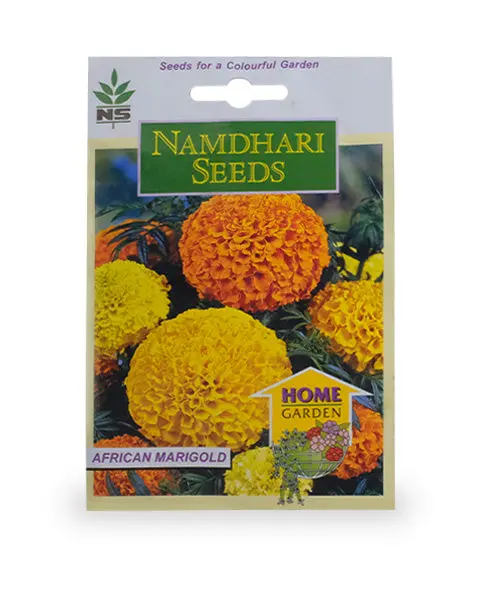 Ns Majestic Yellow African Marigold Seeds 1