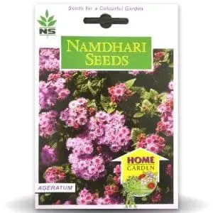 Ns Ageratum Dwarf Ball Mix 1