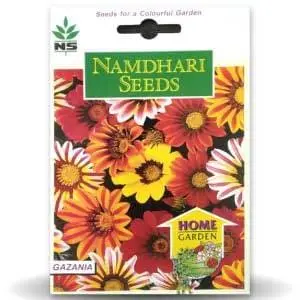 Ns Gazania F1 Kiss Frosty Mix 1
