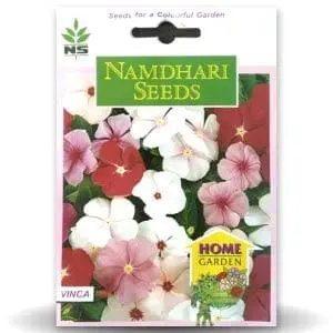 Ns F1 Hybrid Vinca Pacifica Mix Flower Seeds 1