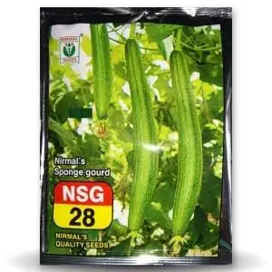 Nsg-28 Sponge Gourd 1