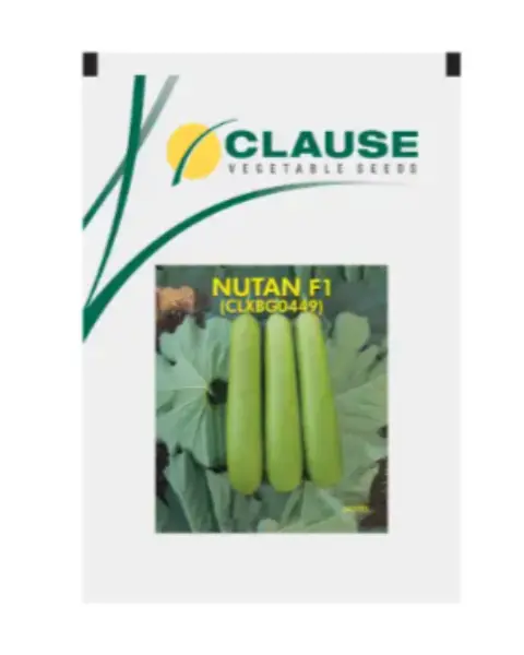 Nutan F1 Bottle Gourd 1