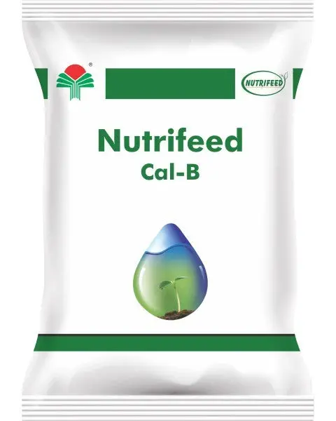 Nutrifeed Cal-B 1