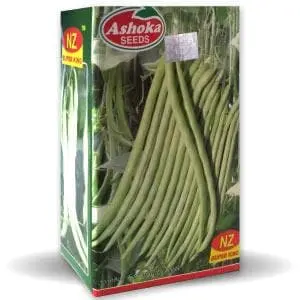 Nz Super King Pole Beans - Stringless, Light Green, High Yield 1