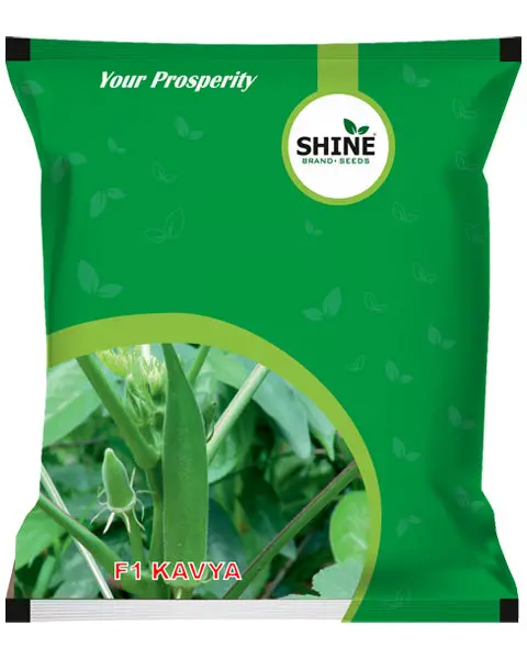 Shine Okra F1 Kavya Seeds 1