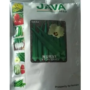 Java Okra Nurvi F1 Hybrid Seeds 1