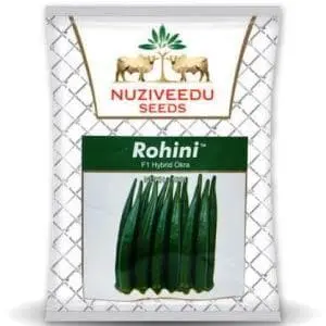 Rohini Bhendi (Okra) ( रोहिणी भिंडी ) 1