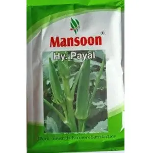 Mansoon Okra Payal Hybrid Seeds 1