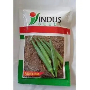 Indus Okra Rustom Seeds 1