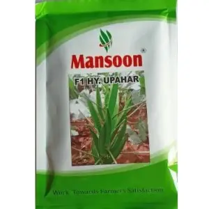 Mansoon Okra Upahar F1 Hybrid Seeds 1
