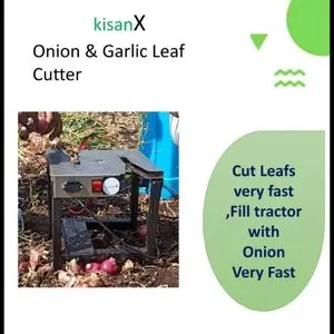 Onion And Garlic Leaf Cutter 1