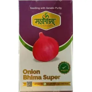 Maha Onion Bhima Super Seeds 1