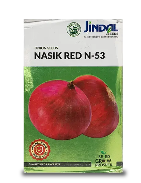 Jindal Nasik Red Onion Seeds (N-53)- Good Yielding Hybrid 1