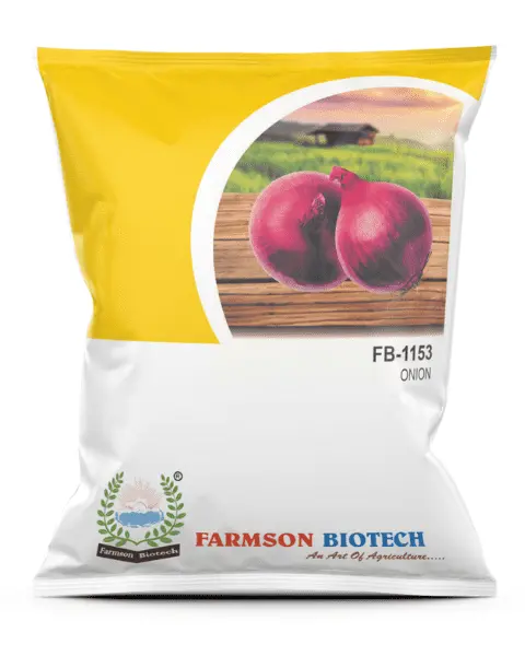 Fb 1153 Onion Seeds: High Yield, Uniform Bulbs, Excellent Flavor 1