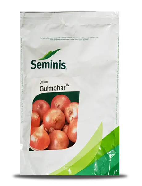 Seminis Gulmohar Onion Seeds 1