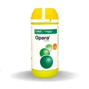 Opera Fungicide: Dual Action Systemic & Contact Disease Control 1