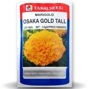 Osaka Gold Tall Marigold 1