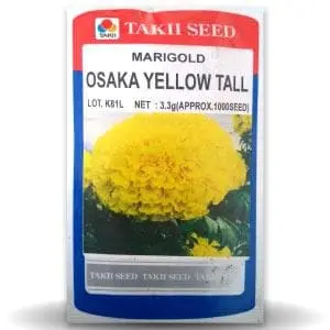 Osaka Yellow Tall Marigold 1
