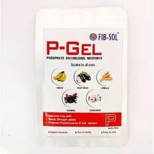 Fib Sol P-Gel – Bioactive: Phosphate Solublizing Bacteria 1