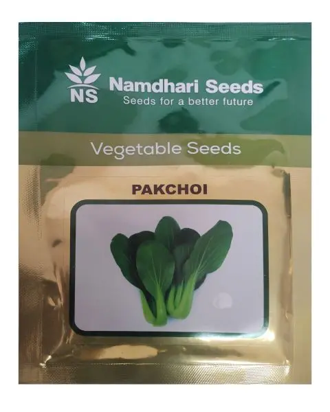 Pak Choi Ns 10003 Kgp 1