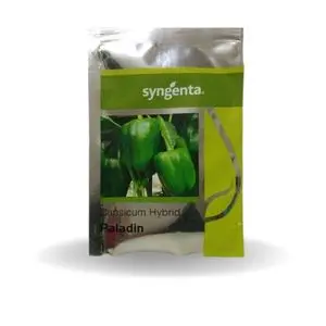 Paladin Capsicum 1