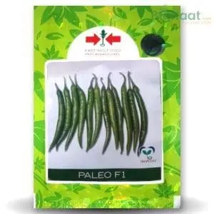 Paleo Chilli Seeds 1