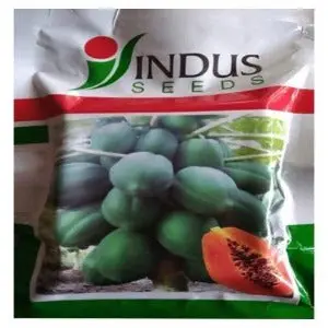 Indus Honey Gold Papaya Seeds 1