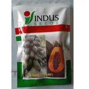 Indus Papaya Red Sun Dwarf F1 Hybrid Seeds 1