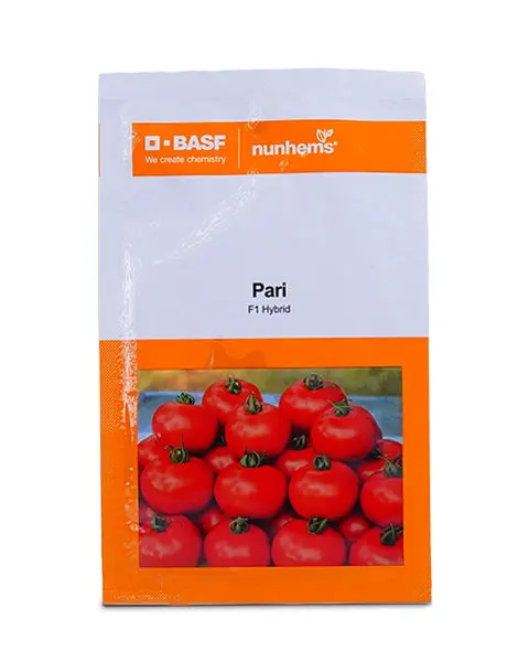 Nunhems Pari F1 Hybrid Tomato Seeds 1