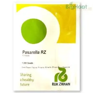 Pasarella Rz F1 Green Capsicum- Compact Plant, Elongated Fruits, Green & Red Fruits 1