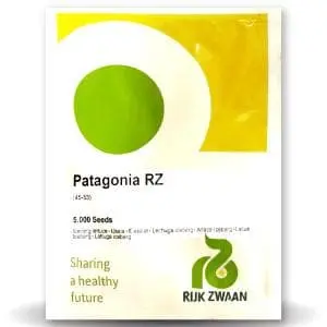 Patagonia Rz (45-53) Iceberg Lettuce 1