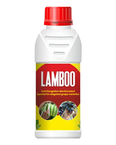 Patil Biotech Lamboo 1