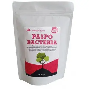 Phospho Bacteria Bio Fertilizer 1