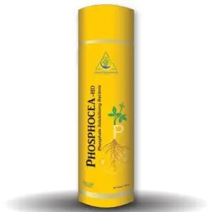 Phosphocea-Hd (Phosphate Solubilising Bacterial Bio Fertilizer) 1