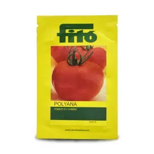 Polyana Tomato Seeds - Indeterminate, Flat Round, Disease Resistant 1